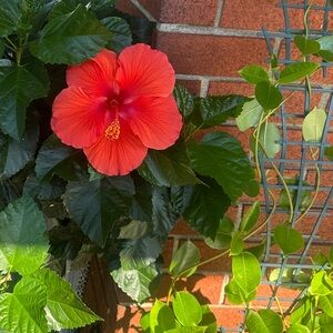 Offers are negotiable!